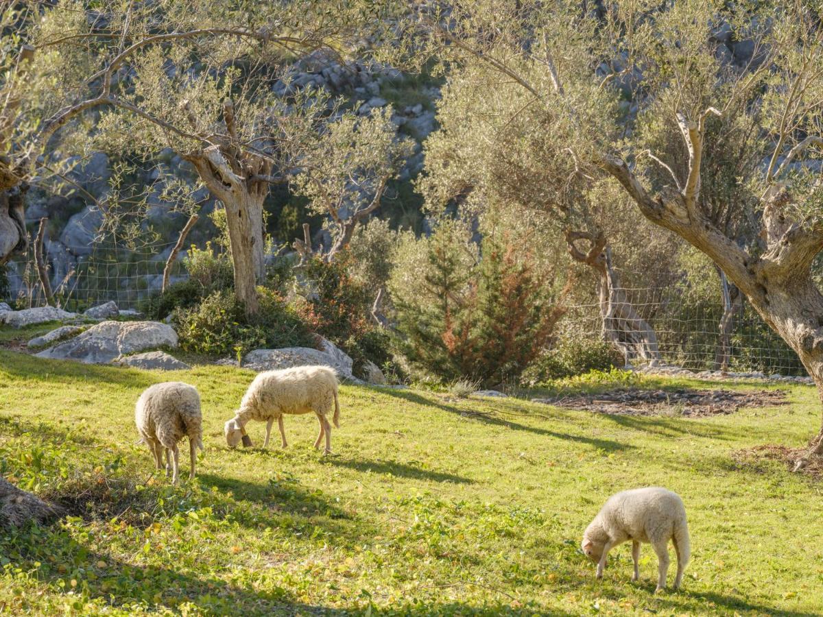 Agroturismo Muleta De Ca S'Hereu Port De Soller Bagian luar foto