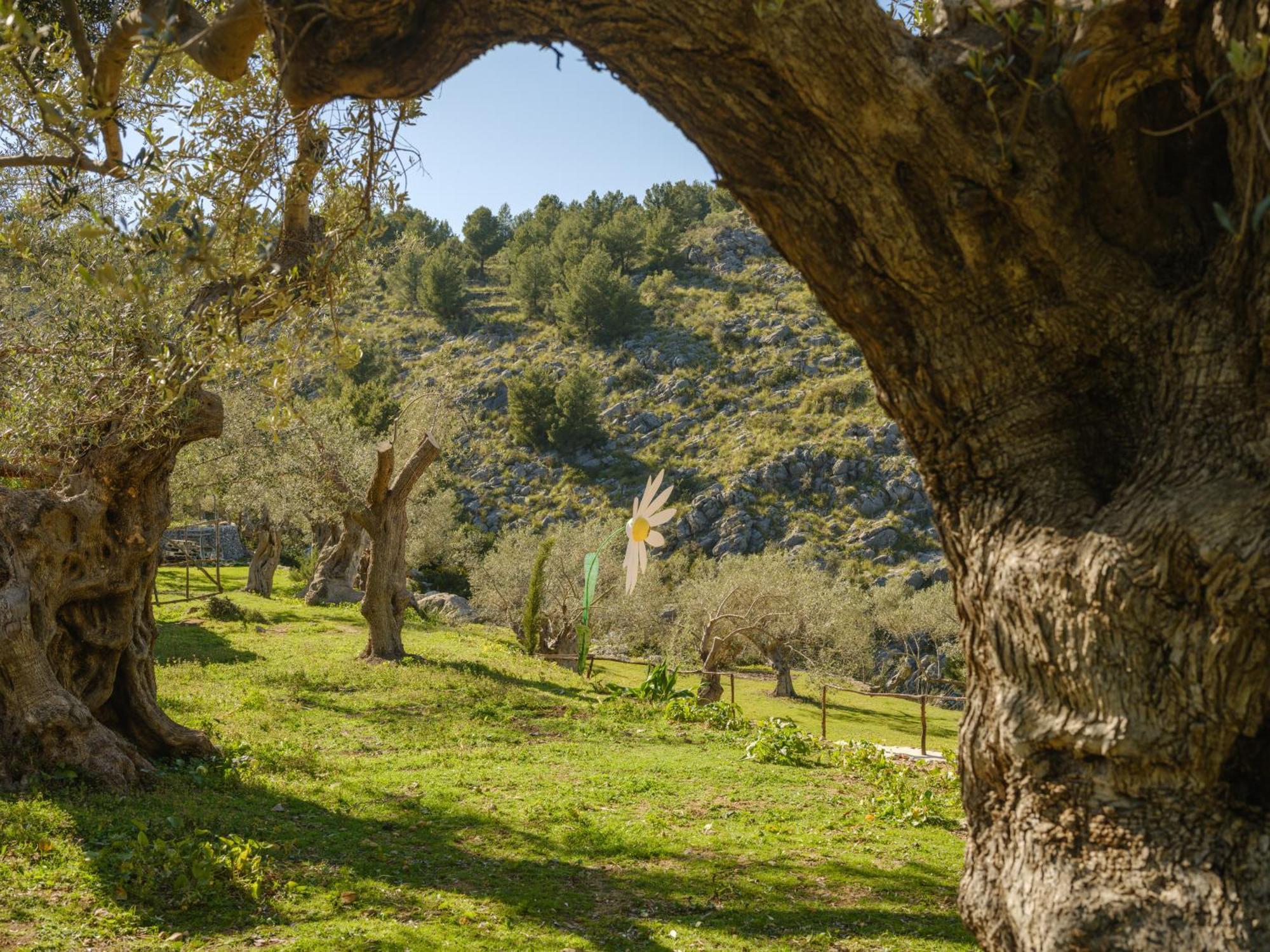 Agroturismo Muleta De Ca S'Hereu Port De Soller Bagian luar foto